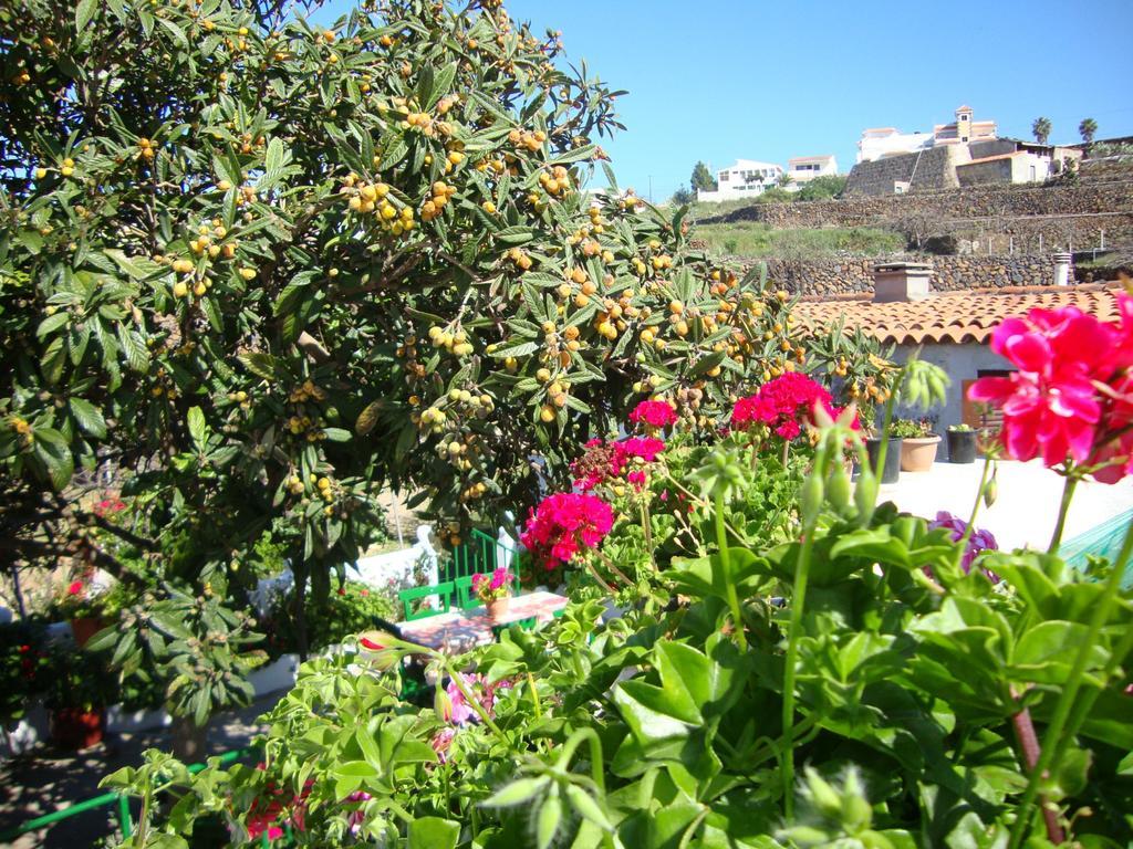 Casa Rural Isabel Villa Vilaflor de Chasna Esterno foto